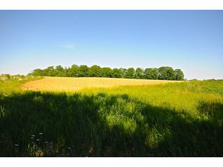 Property photo 69 - LAND AUCTION - 604+/- ACRES OFFERED IN 24 TRACTS IN MORGAN COUNTY, INDIANA
